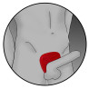 Electrastim - Protège-Bite Viper Silicone Fusion